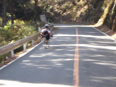 Fellow cyclists were the only traffic on the twisting mountain road